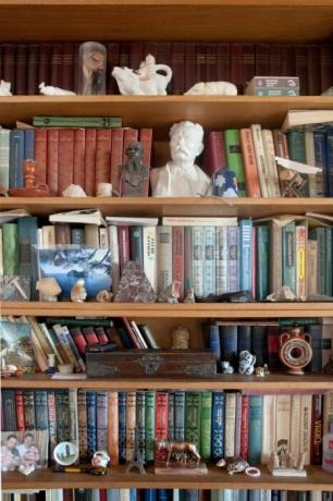 Bücherregale mit zahlreichen Statuen.