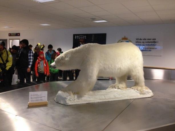 Der Flughafen erfüllt alle Reisen Symbol der Stadt - die Eisbären.