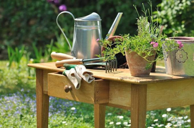 Nützliche Tipps für Anfänger im Garten oder im Frühjahr im Garten