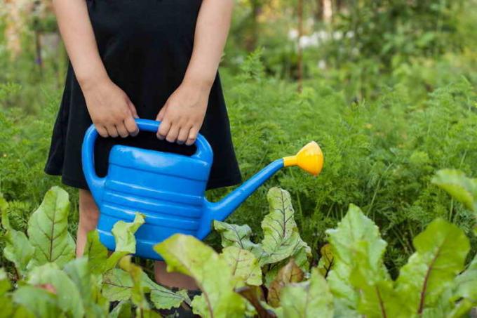 10 verfügt über den Rübenanbau