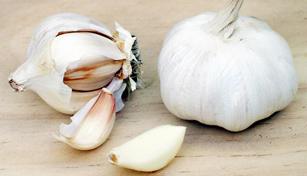 Maulwürfe mögen den Geruch von Knoblauch nicht