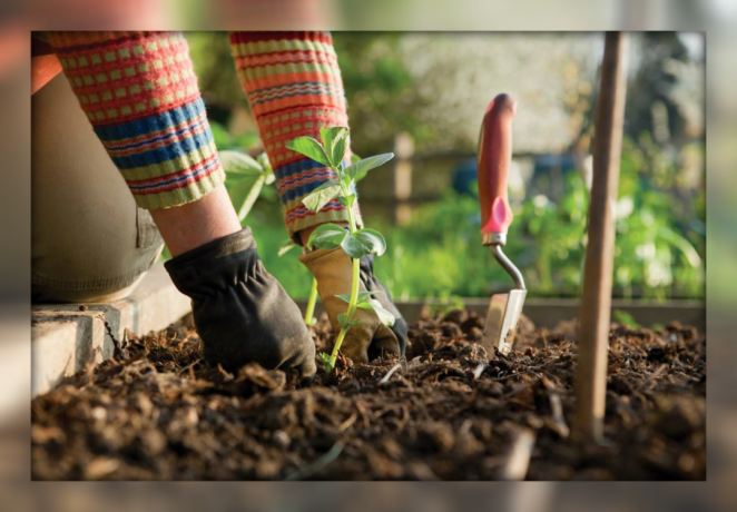 Als eine einfache Möglichkeit, Ihre Hände unter den Nägeln das Land nicht bekommen zu schützen, während der Arbeit im Garten