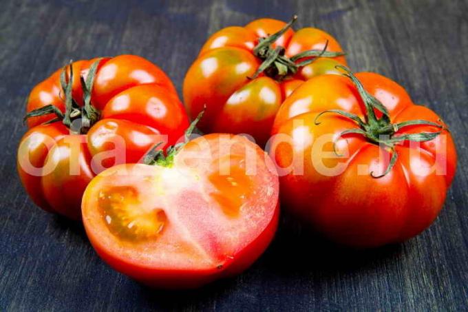 Um schnell errötete Tomaten