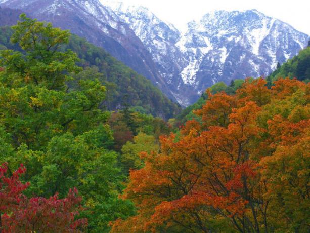 Was Japan hat massiv in der UdSSR gebrochen Glas gewonnen