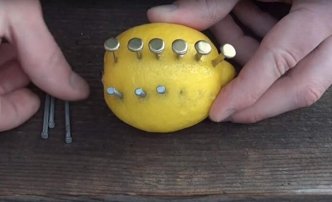  Lemon - ein mysteriöser Zitrus, die nicht nur Vitamine gefallen. / Foto: s1.dmcdn.net. 