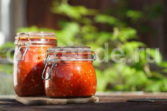 Rezept-Salsa-Sauce. Illustration für einen Artikel für eine Standard-Lizenz verwendet © ofazende.ru