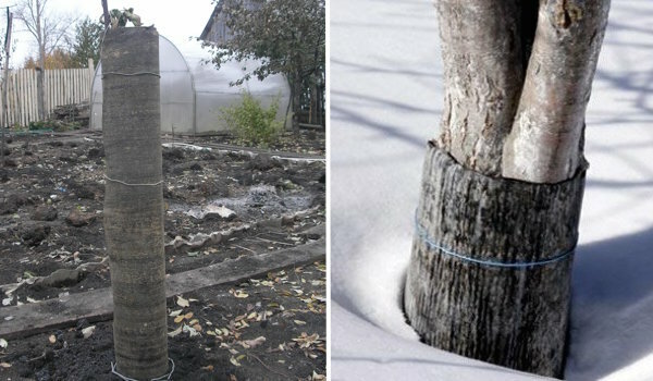 Nutzanwendung alte Dachpappen im Garten