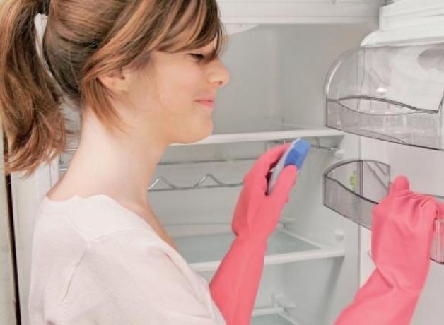 Denken Sie daran, dass die Reinigung Ihres Kühlschranks viel einfacher ist, wenn Sie ihn ständig sauber halten.