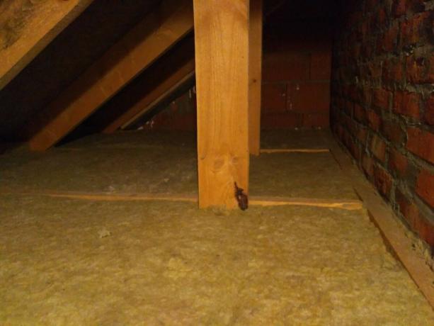 Wie die Isolierung des Dachbodens machen aus dem Hause? Es ist schwierig, aber möglich! Meine Erfahrung.