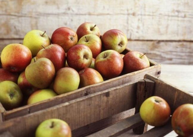 Meine „Geheimnisse“ der langfristigen Lagerung von Äpfeln. 3 wirksame Methode