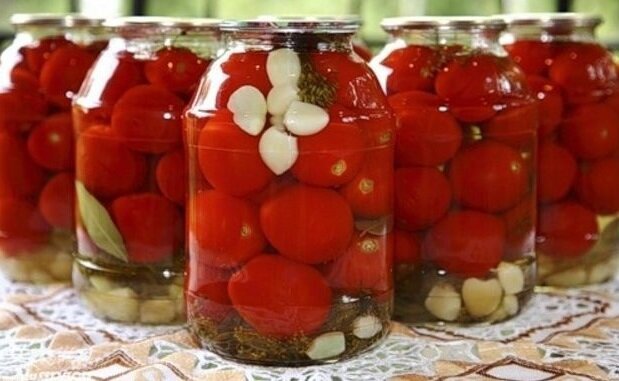 Was ist die Verwendung von eingelegten Tomaten und an wen können sie kontra werden