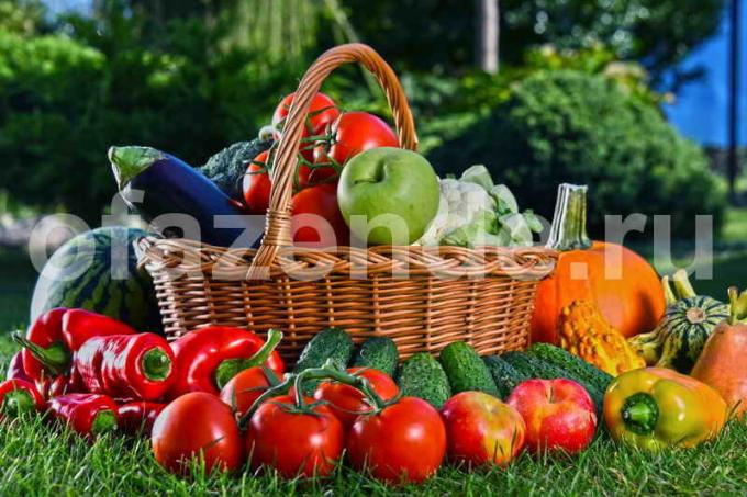 Gemüse auf Salat. Illustration für einen Artikel für eine Standard-Lizenz verwendet © ofazende.ru