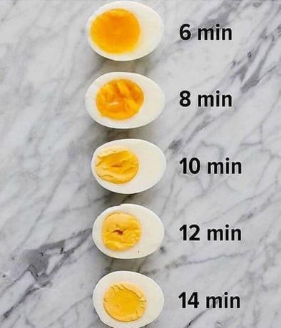 Gekochte Eier in verschiedenen Formen. | Foto: InstaHats.