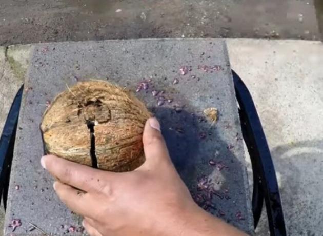 Coconut zertrümmert mit einem Hammer, um aus ihm eine Metallkugel.