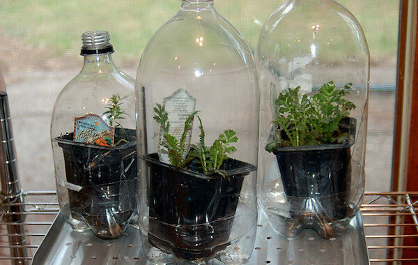 Ausblick: http://www.agfoundation.org/images/uploads/_660w/greenhouse_bottles.jpg