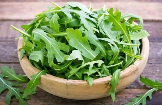 Rucola. Was sind ihre Vorteile und warum ist es so beliebt