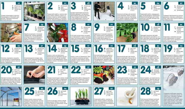 Gartenkalender für den Monat Februar ...