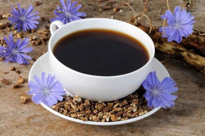 Trinken Chicorée statt Kaffee am Morgen. Warum sollten ältere Menschen auf diesem Produkt gehen