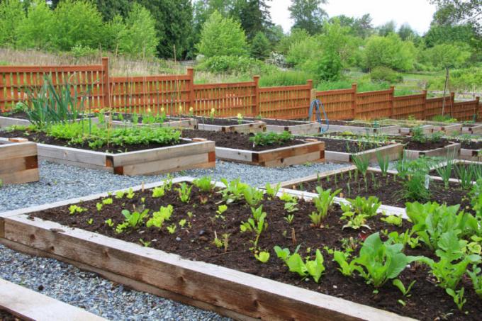 Richtig gewählte Abdeckung Spuren im Garten macht es bei allen Wetterbedingungen zu arbeiten bequem. Illustration für einen Artikel für eine Standard-Lizenz verwendet © ofazende.com