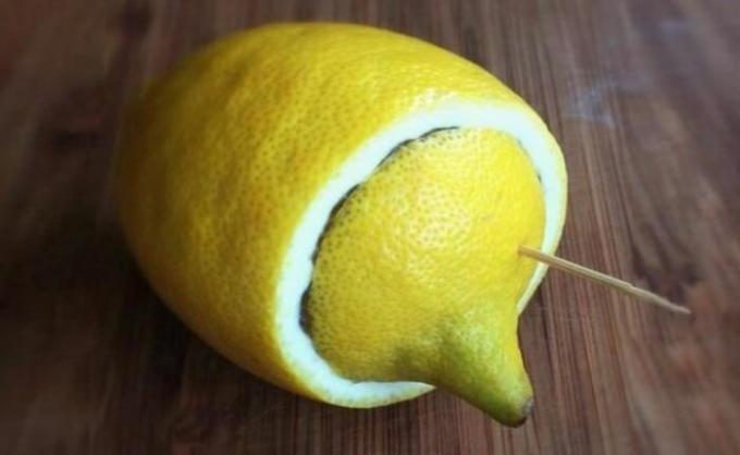 Lemon - der perfekte Begleiter, wenn Sie Camping oder Erholung in der Natur gehen. / Foto: belnovosti.by. 