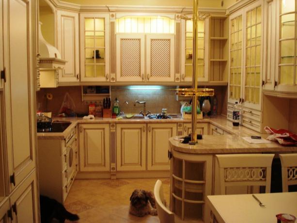 Ergonomie der Küche: Videoanleitung zur korrekten Planung des Küchenraums mit eigenen Händen, Foto, Preis