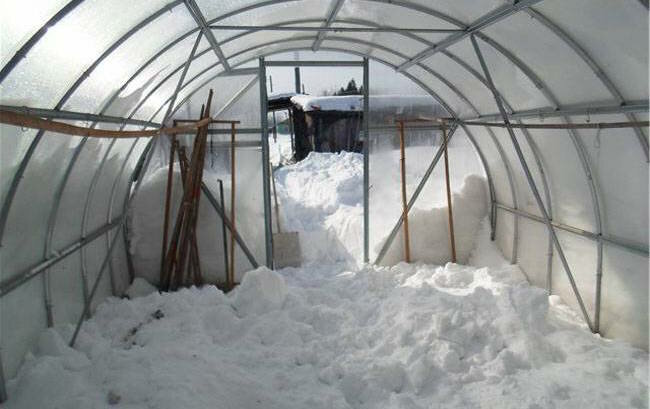 Macht es Sinn, Treibhaus Schnee zu werfen?