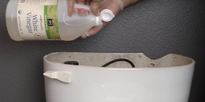Füllen Sie den Essig in der Toilette alle Bakterien zu töten. 