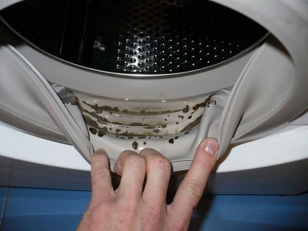 Wie wird man von Schimmel und muffiger Geruch in der Waschmaschine befreien