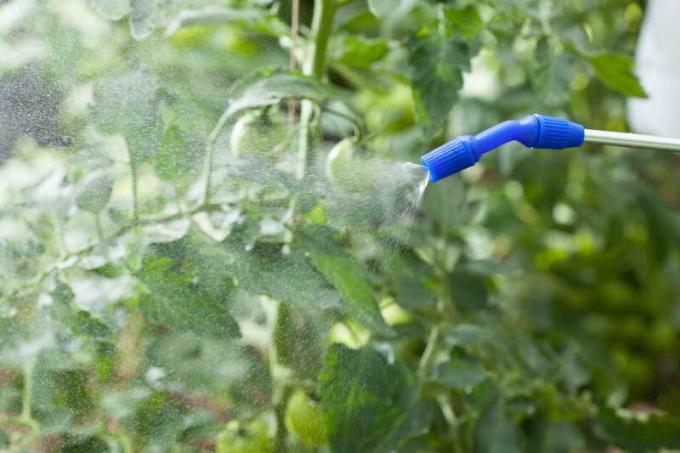 Die Verwendung von Kupfersulfat im Garten