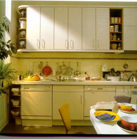 Küchenanordnung: DIY Video Anleitung zur Installation, Gestaltungsideen für Räume 5,5, 6 qm, 8 9, 10 qm, Preis, Foto