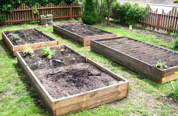 Wie die Lehmboden im Garten ohne große finanzielle Investitionen zu verbessern. Meine Erfahrung