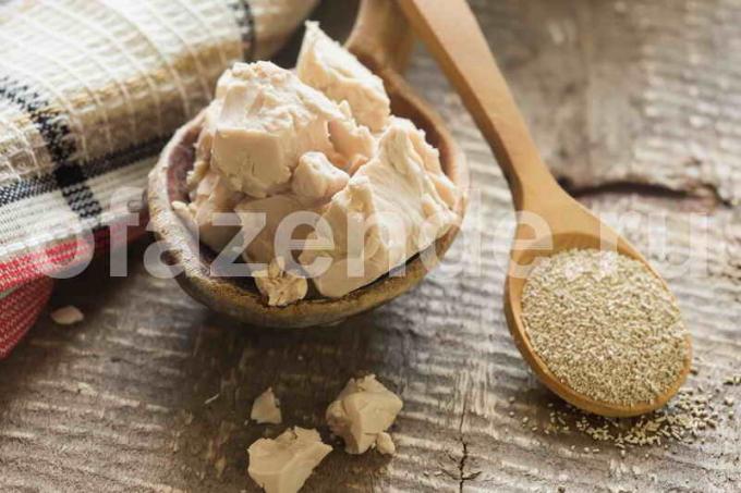 Hefe Dressing für Gurken: Verwendung Rezepte